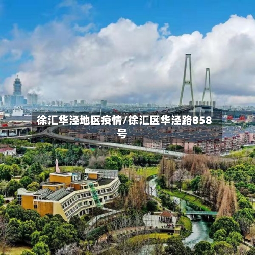 徐汇华泾地区疫情/徐汇区华泾路858号-第3张图片