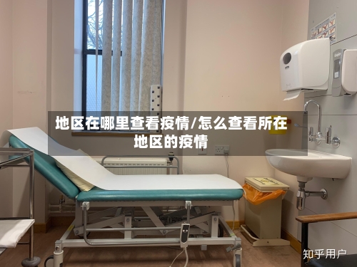 地区在哪里查看疫情/怎么查看所在地区的疫情