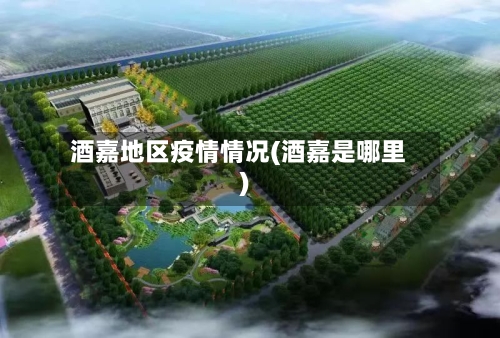 酒嘉地区疫情情况(酒嘉是哪里)