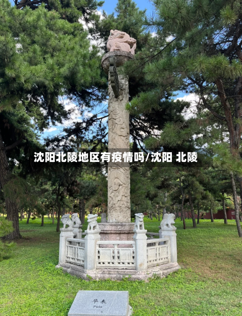 沈阳北陵地区有疫情吗/沈阳 北陵