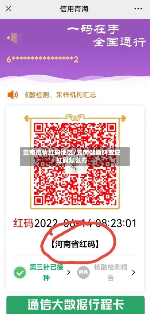 云南疫情红码地区/云南健康码变成红码怎么办-第2张图片
