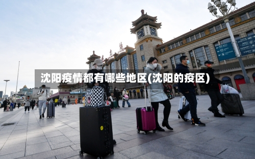 沈阳疫情都有哪些地区(沈阳的疫区)-第3张图片