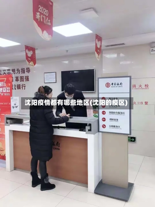 沈阳疫情都有哪些地区(沈阳的疫区)-第2张图片