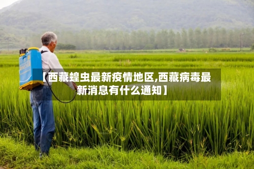 【西藏蝗虫最新疫情地区,西藏病毒最新消息有什么通知】