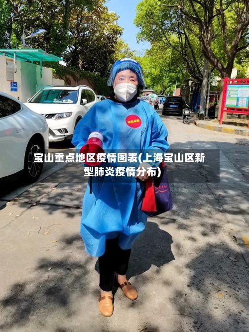 宝山重点地区疫情图表(上海宝山区新型肺炎疫情分布)-第2张图片