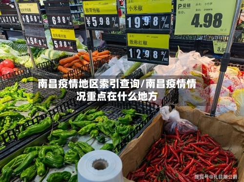 南昌疫情地区索引查询/南昌疫情情况重点在什么地方-第3张图片