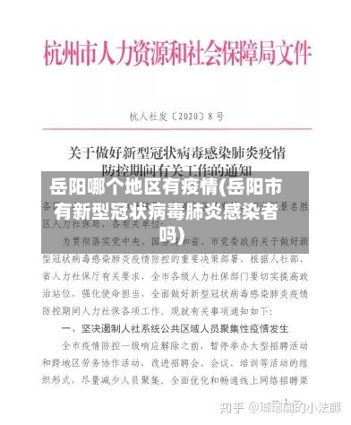 岳阳哪个地区有疫情(岳阳市有新型冠状病毒肺炎感染者吗)-第3张图片