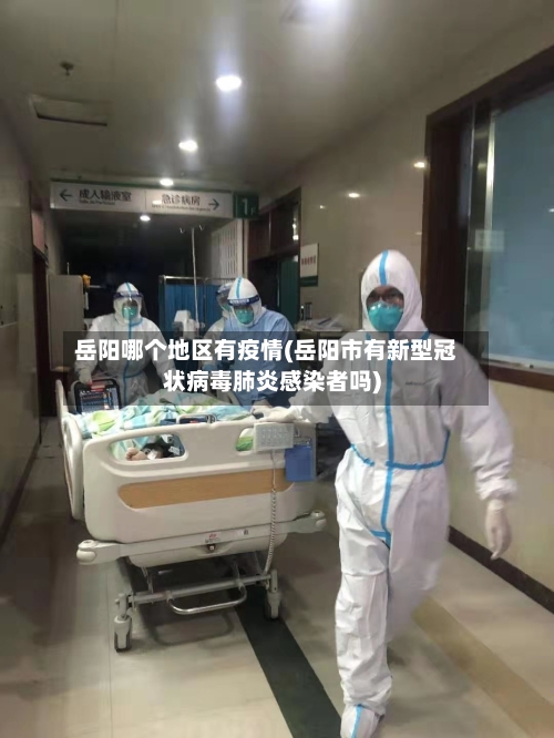 岳阳哪个地区有疫情(岳阳市有新型冠状病毒肺炎感染者吗)-第2张图片