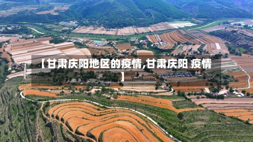 【甘肃庆阳地区的疫情,甘肃庆阳 疫情】-第2张图片