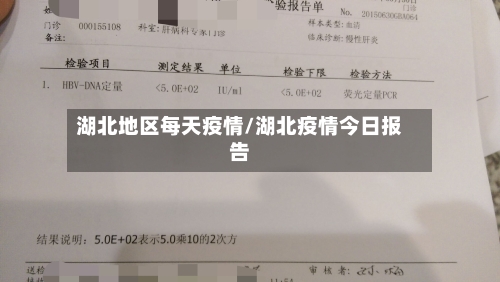 湖北地区每天疫情/湖北疫情今日报告-第2张图片