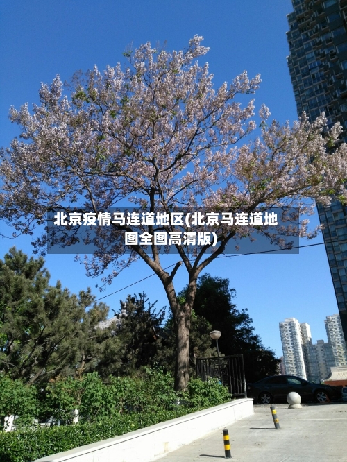 北京疫情马连道地区(北京马连道地图全图高清版)