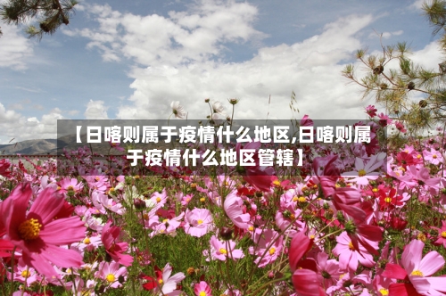 【日喀则属于疫情什么地区,日喀则属于疫情什么地区管辖】