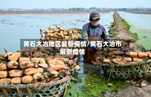 黄石大冶地区最新疫情/黄石大冶市最新疫情