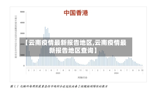 【云南疫情最新报告地区,云南疫情最新报告地区查询】