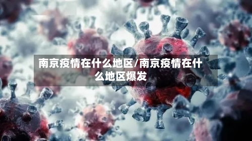 南京疫情在什么地区/南京疫情在什么地区爆发-第2张图片