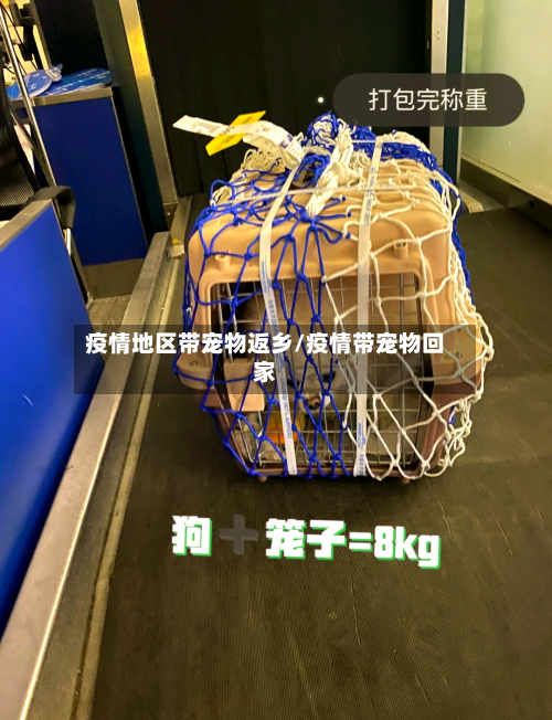 疫情地区带宠物返乡/疫情带宠物回家