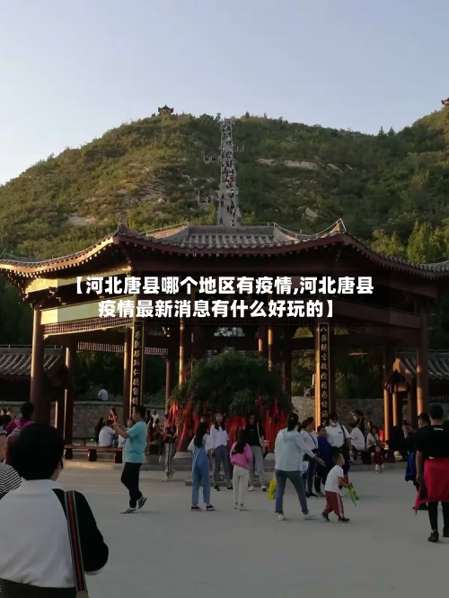 【河北唐县哪个地区有疫情,河北唐县疫情最新消息有什么好玩的】-第2张图片