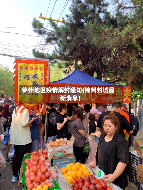 锦州地区疫情解封通知(锦州封城最新消息)-第2张图片