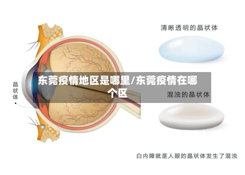 东莞疫情地区是哪里/东莞疫情在哪个区