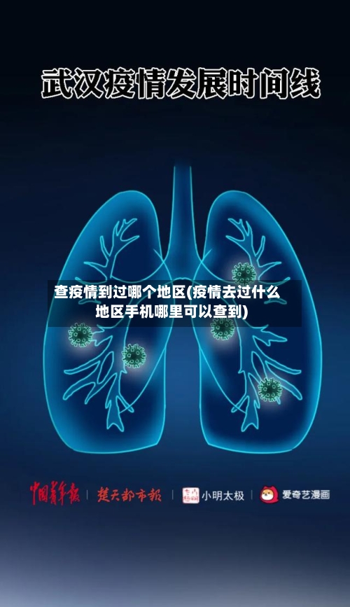查疫情到过哪个地区(疫情去过什么地区手机哪里可以查到)