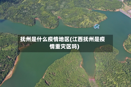 抚州是什么疫情地区(江西抚州是疫情重灾区吗)-第2张图片