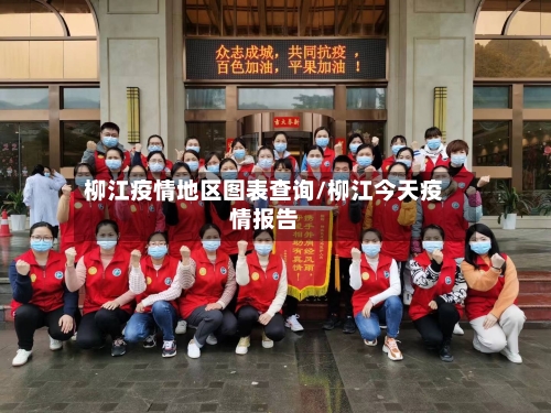 柳江疫情地区图表查询/柳江今天疫情报告-第2张图片