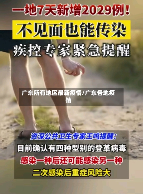广东所有地区最新疫情/广东各地疫情
