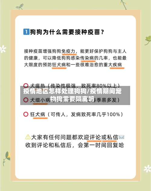 疫情地区怎样处理狗狗/疫情期间宠物狗需要隔离吗-第2张图片