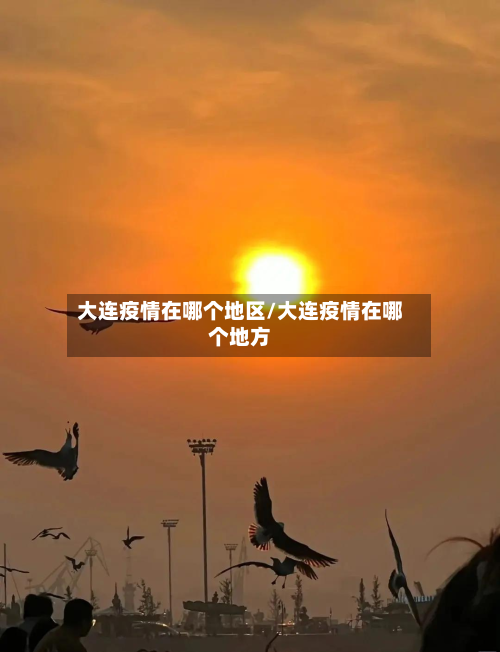 大连疫情在哪个地区/大连疫情在哪个地方
