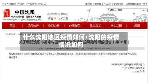 什么沈阳地区疫情如何/沈阳的疫情情况如何