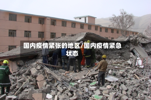 国内疫情紧张的地区/国内疫情紧急状态