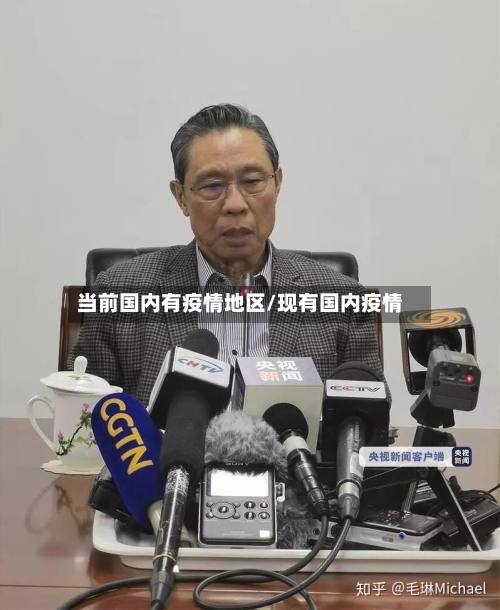 当前国内有疫情地区/现有国内疫情-第2张图片