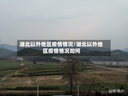 湖北以外地区疫情情况/湖北以外地区疫情情况如何-第3张图片