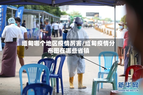 缅甸哪个地区疫情厉害/缅甸疫情分布图在哪些省镇-第3张图片