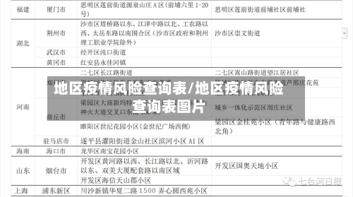 地区疫情风险查询表/地区疫情风险查询表图片