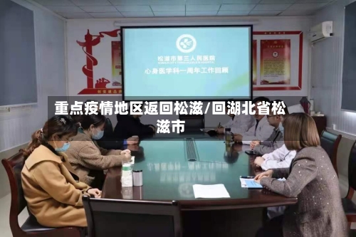 重点疫情地区返回松滋/回湖北省松滋市
