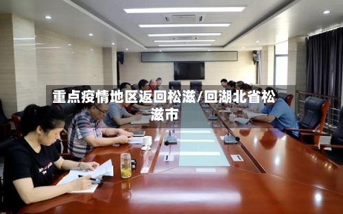 重点疫情地区返回松滋/回湖北省松滋市-第2张图片