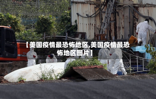 【美国疫情最恐怖地区,美国疫情最恐怖地区图片】-第2张图片