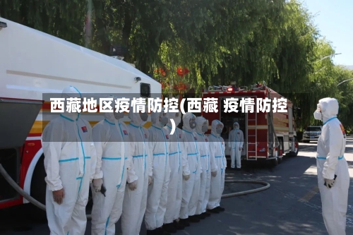 西藏地区疫情防控(西藏 疫情防控)-第3张图片