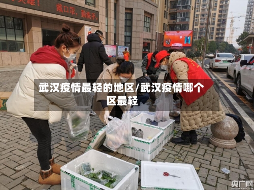 武汉疫情最轻的地区/武汉疫情哪个区最轻-第3张图片