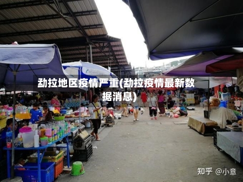 勐拉地区疫情严重(勐拉疫情最新数据消息)-第3张图片