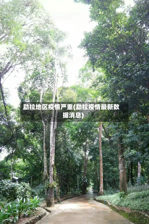 勐拉地区疫情严重(勐拉疫情最新数据消息)-第2张图片