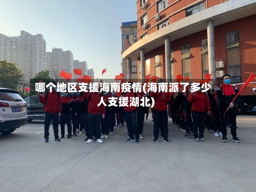 哪个地区支援海南疫情(海南派了多少人支援湖北)-第2张图片
