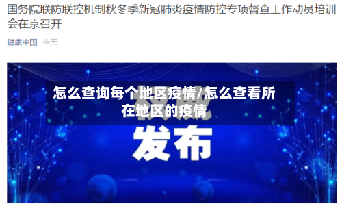 怎么查询每个地区疫情/怎么查看所在地区的疫情-第3张图片