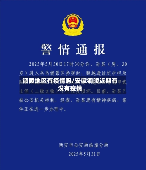 铜陵地区有疫情吗/安徽铜陵近期有没有疫情-第2张图片