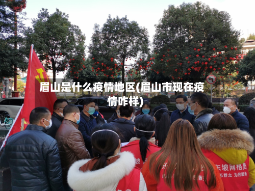 眉山是什么疫情地区(眉山市现在疫情咋样)-第3张图片