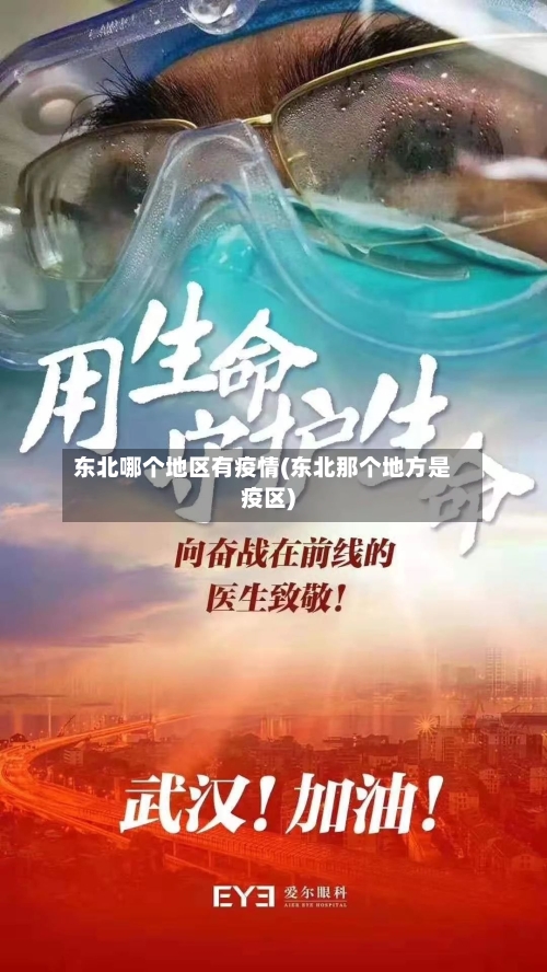 东北哪个地区有疫情(东北那个地方是疫区)-第2张图片
