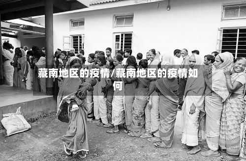 藏南地区的疫情/藏南地区的疫情如何