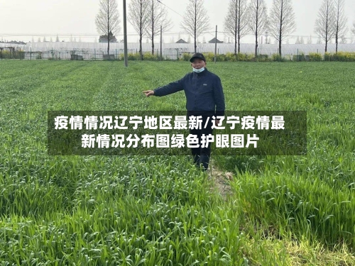 疫情情况辽宁地区最新/辽宁疫情最新情况分布图绿色护眼图片-第2张图片