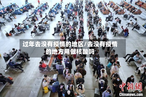 过年去没有疫情的地区/去没有疫情的地方用做核酸吗